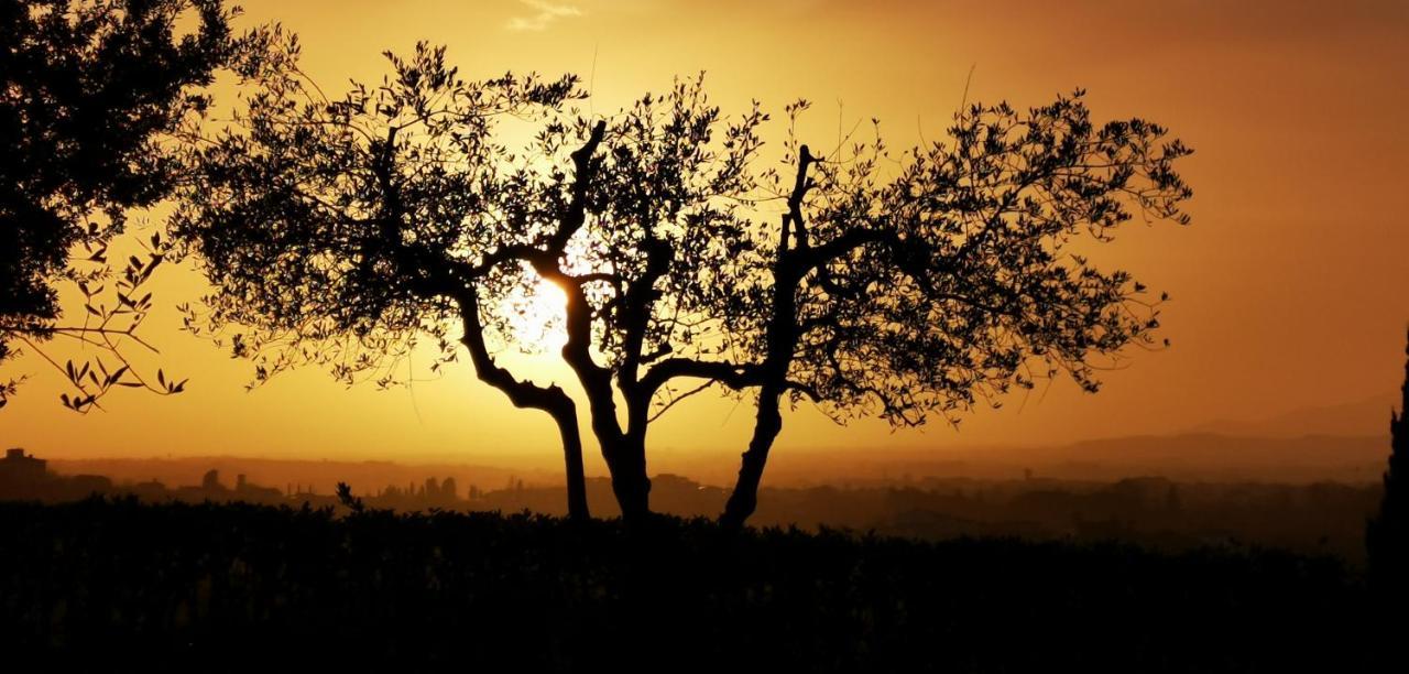 Agriturismo Cascina Cipressa San Romano  ภายนอก รูปภาพ