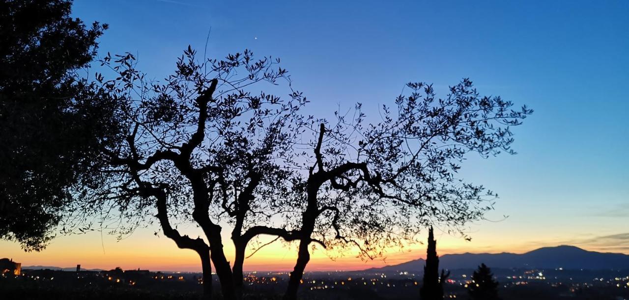 Agriturismo Cascina Cipressa San Romano  ภายนอก รูปภาพ