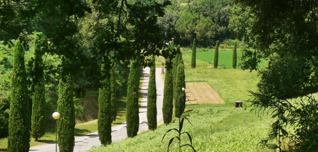 Agriturismo Cascina Cipressa San Romano  ภายนอก รูปภาพ