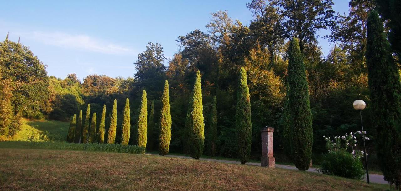 Agriturismo Cascina Cipressa San Romano  ภายนอก รูปภาพ