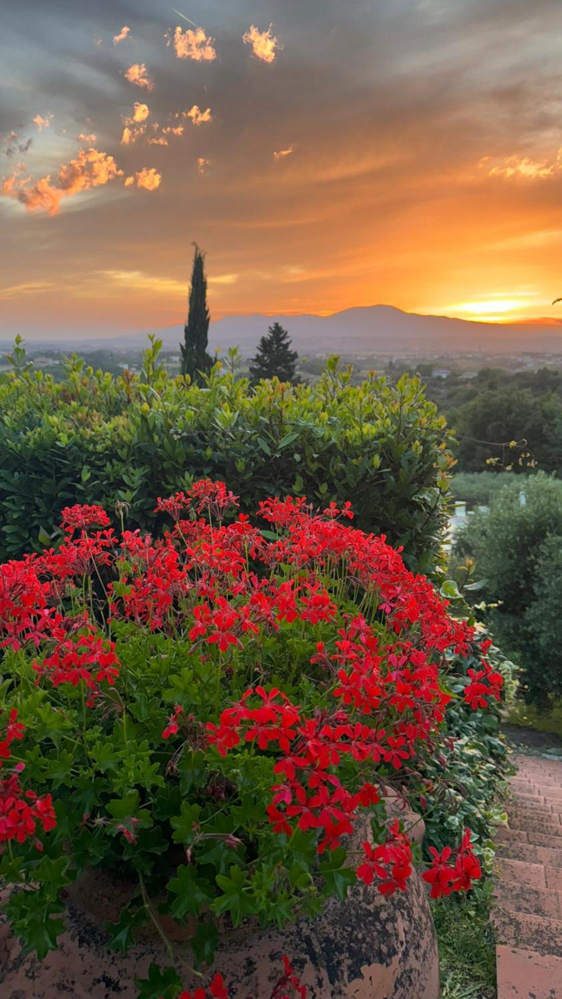 Agriturismo Cascina Cipressa San Romano  ภายนอก รูปภาพ