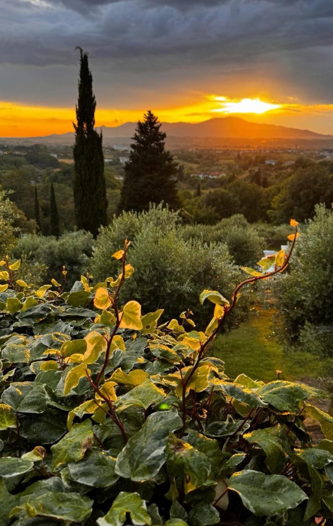 Agriturismo Cascina Cipressa San Romano  ภายนอก รูปภาพ