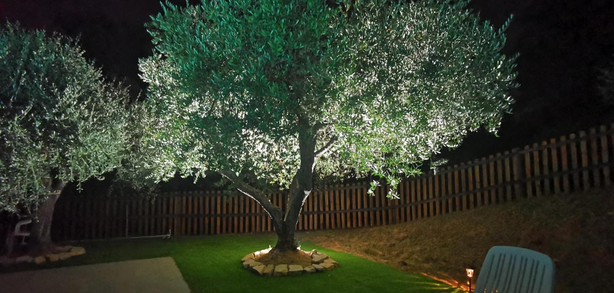 Agriturismo Cascina Cipressa San Romano  ภายนอก รูปภาพ