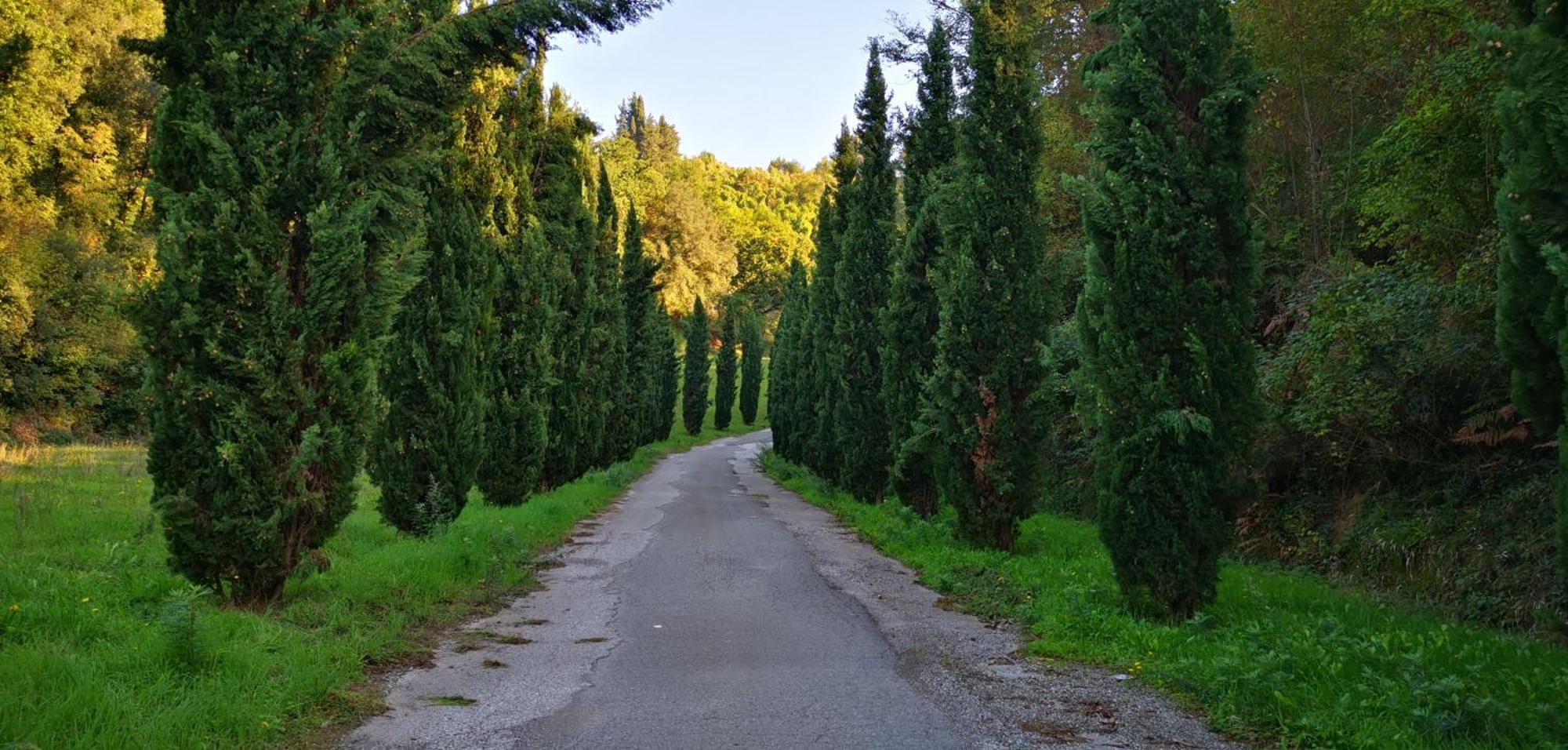 Agriturismo Cascina Cipressa San Romano  ภายนอก รูปภาพ